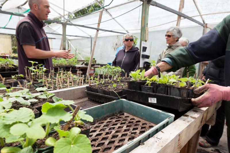 Ngataringa organic gardens